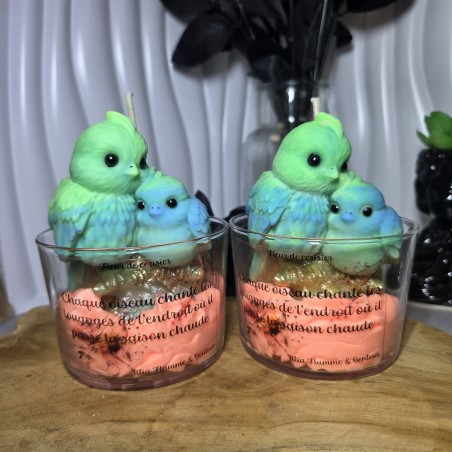 Oiseaux chanteurs