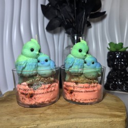 Oiseaux chanteurs