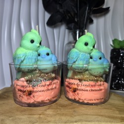 Oiseaux chanteurs