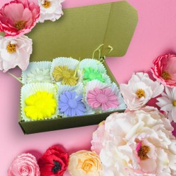 Box fondants