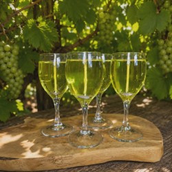 La mini Vigne & flamme
