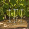 La mini Vigne & flamme