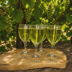 La mini Vigne & flamme