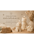 Collection Animaux